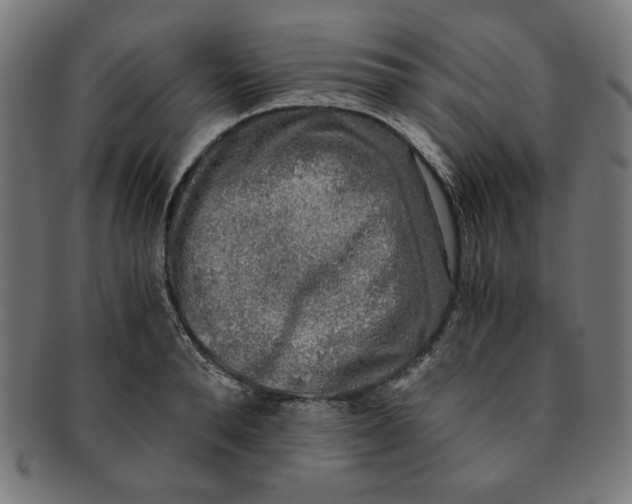 X0000091200896200709061411
