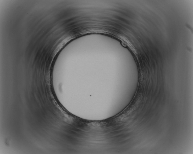X0000091200898200709061411