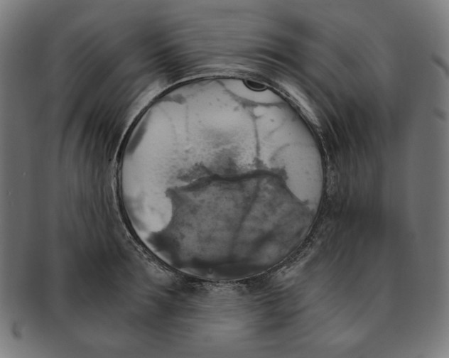 X0000091200899200709061411