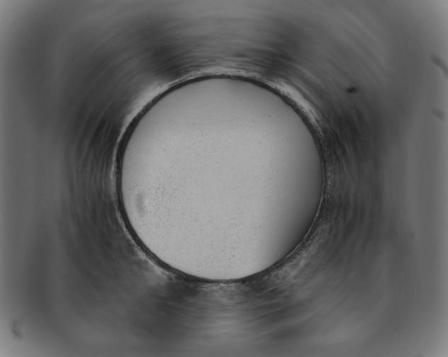 X0000091200902200709061411