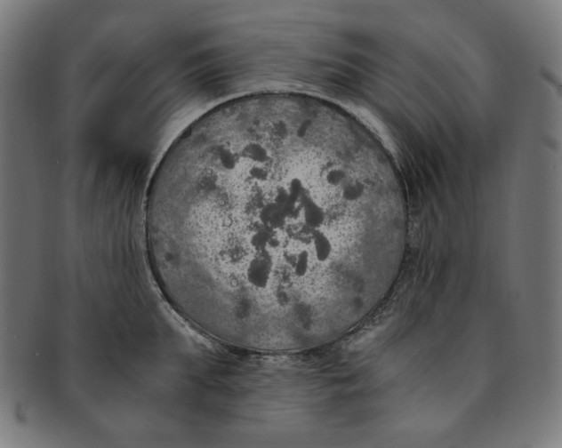 X0000091200903200709061411