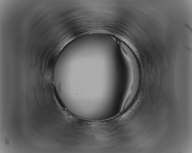X0000091200905200709061411