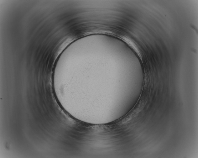 X0000091200906200709061411