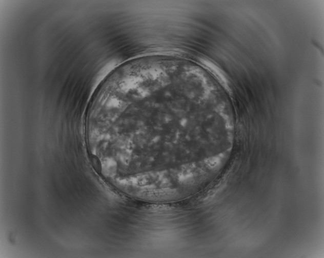 X0000091200907200709061411