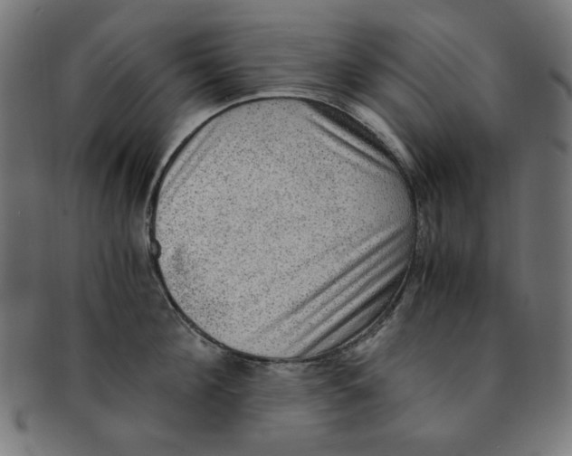 X0000091200908200709061411