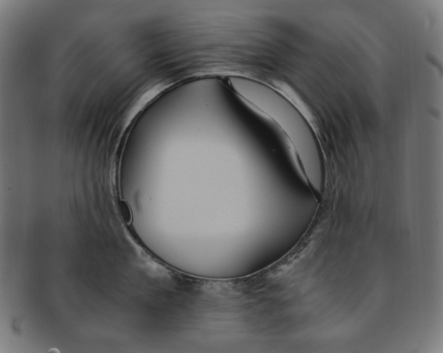 X0000091200909200709061411