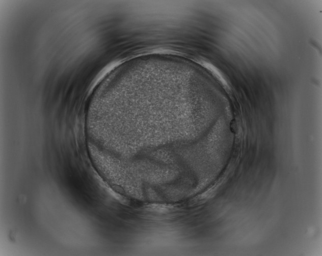 X0000091200910200709061411