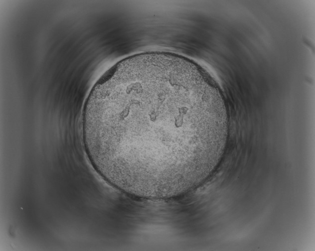 X0000091200911200709061411