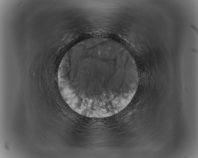 X0000091200913200709061410