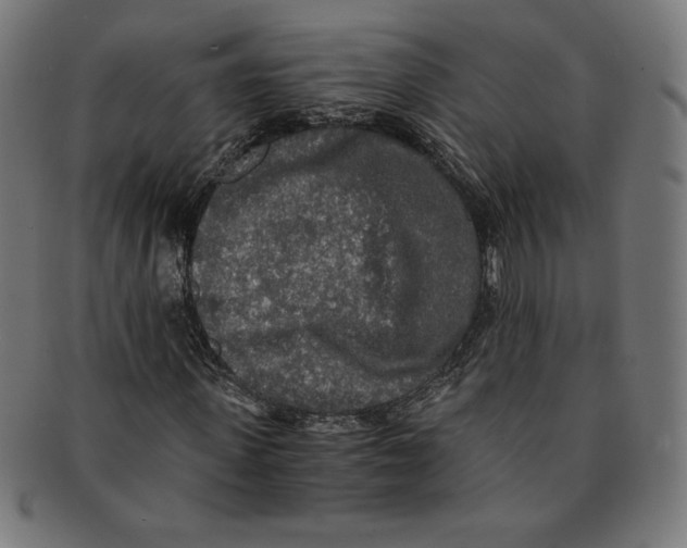 X0000091200915200709061410