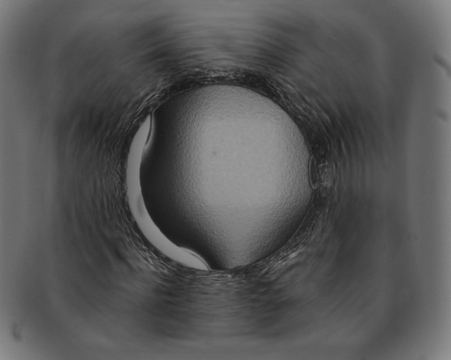 X0000091200916200709061410