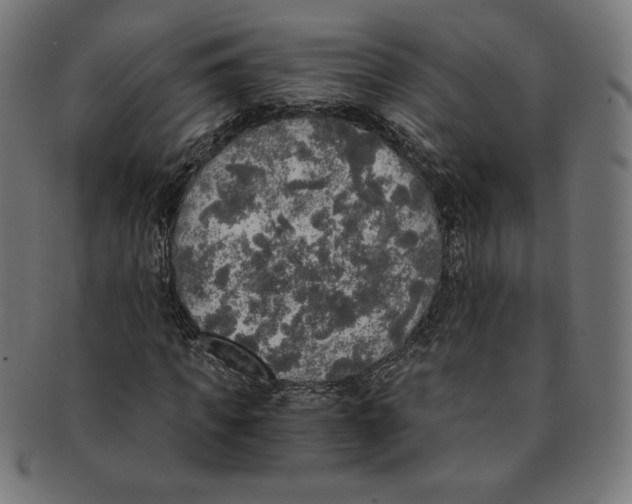 X0000091200917200709061410