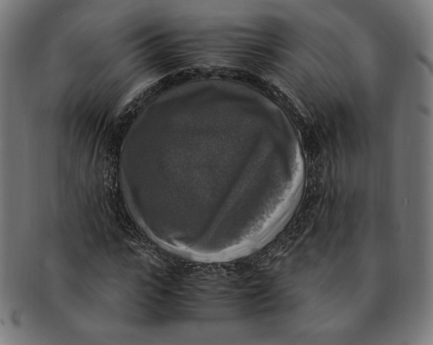 X0000091200919200709061410