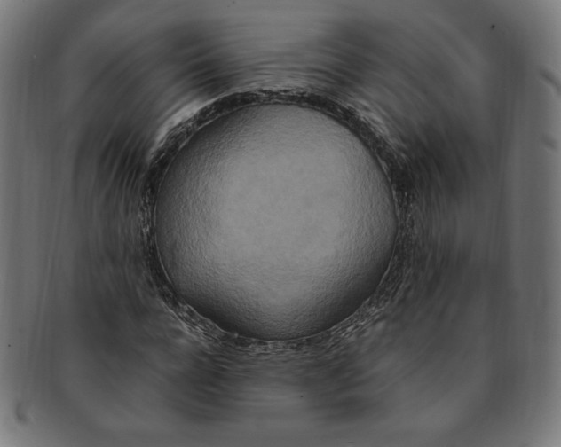 X0000091200920200709061410