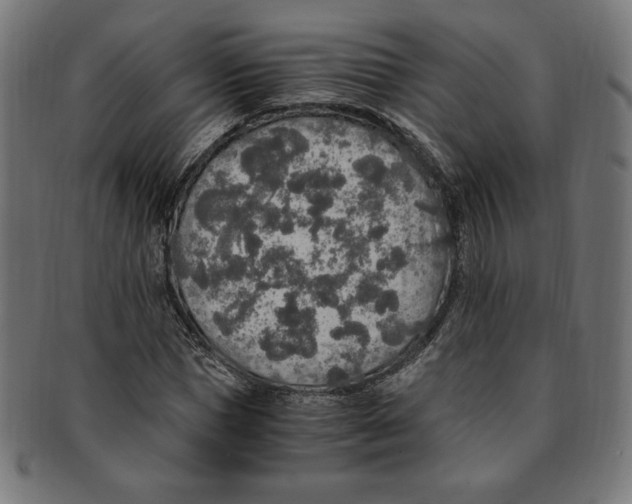 X0000091200921200709061410