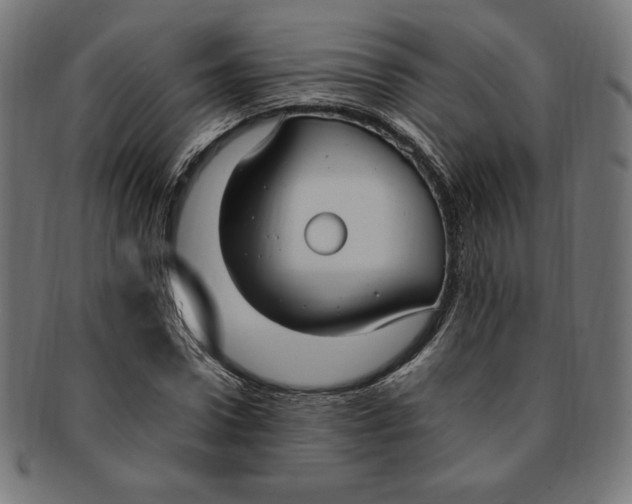 X0000091200922200709061410