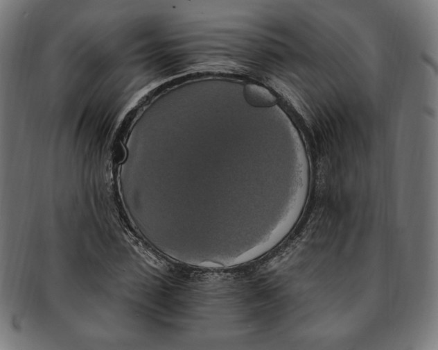 X0000091200923200709061410