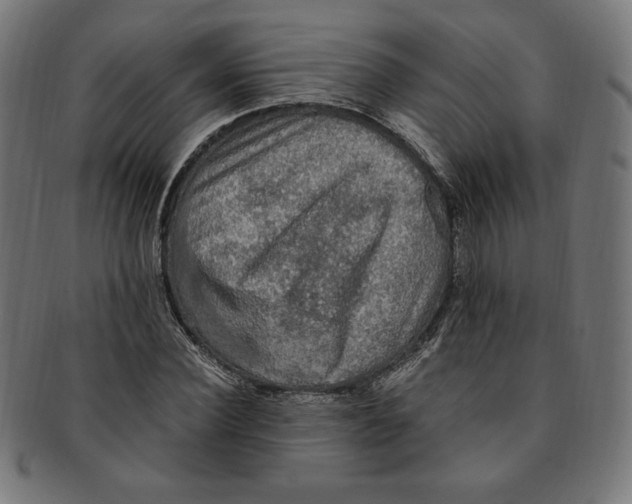 X0000091200924200709061410
