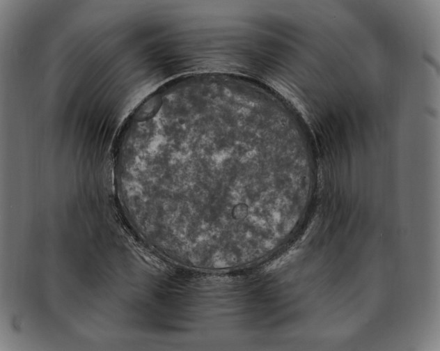 X0000091200925200709061410
