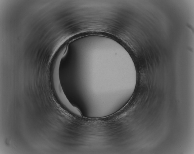 X0000091200926200709061410