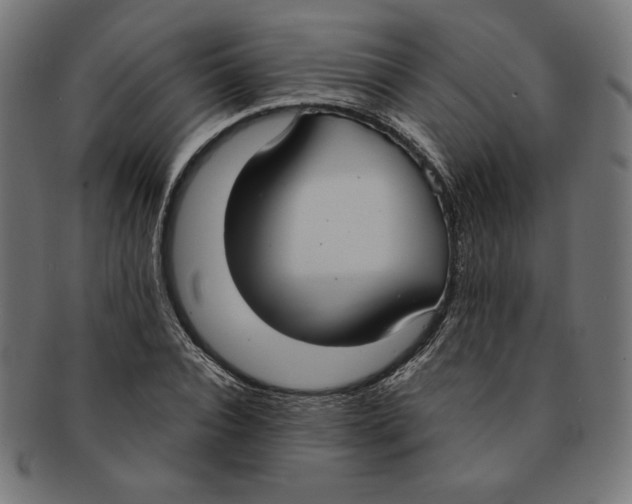 X0000091200928200709061410