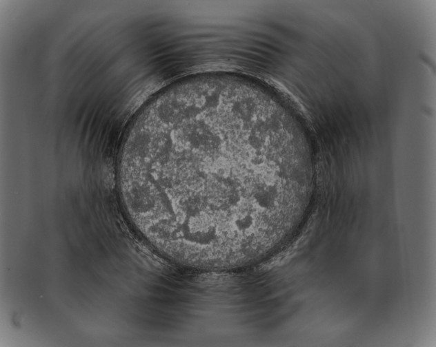 X0000091200929200709061410