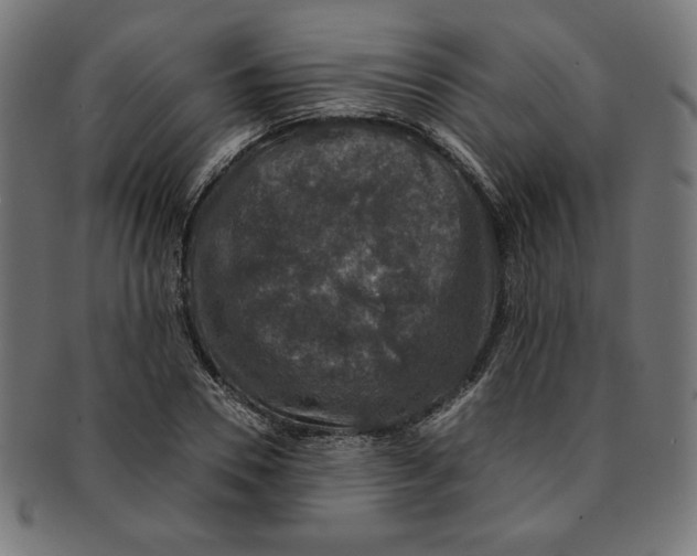X0000091200930200709061410