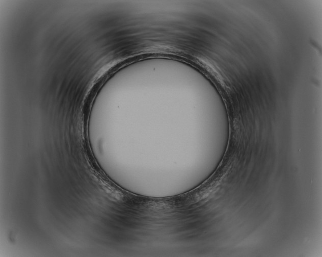 X0000091200931200709061410