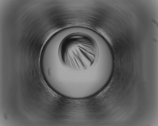 X0000091200932200709061410