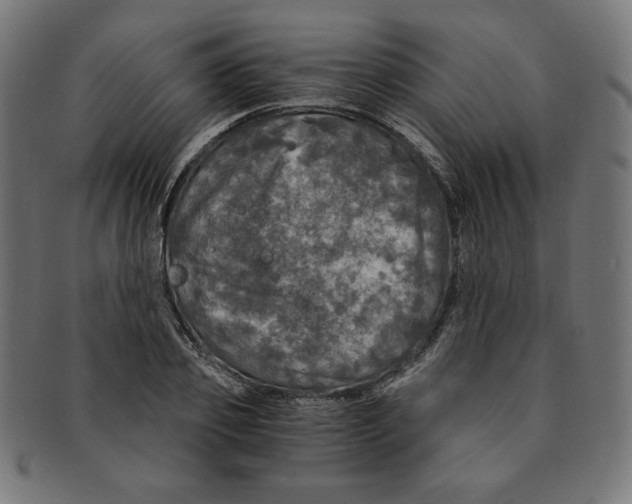 X0000091200933200709061410