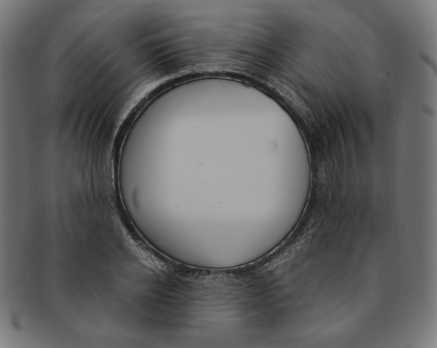 X0000091200934200709061410
