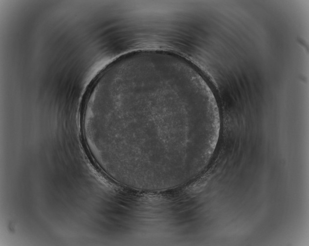 X0000091200935200709061410
