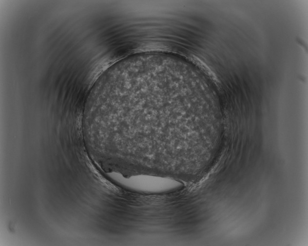 X0000091200937200709061410