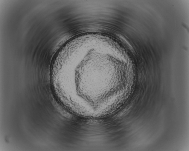 X0000091200938200709061410