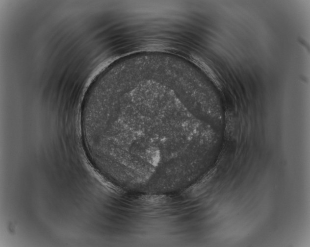 X0000091200939200709061410