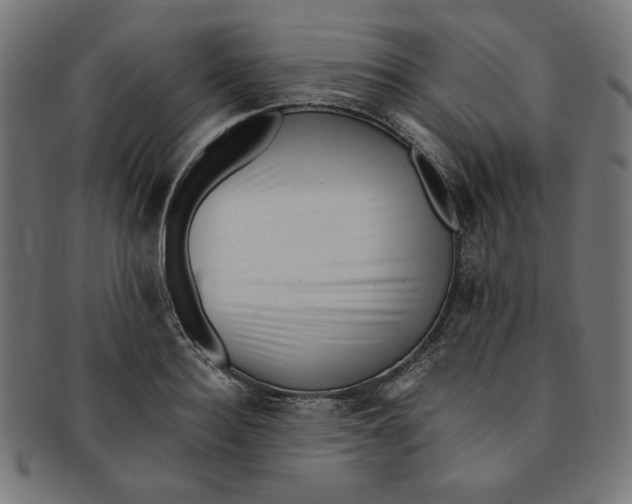 X0000091200940200709061411