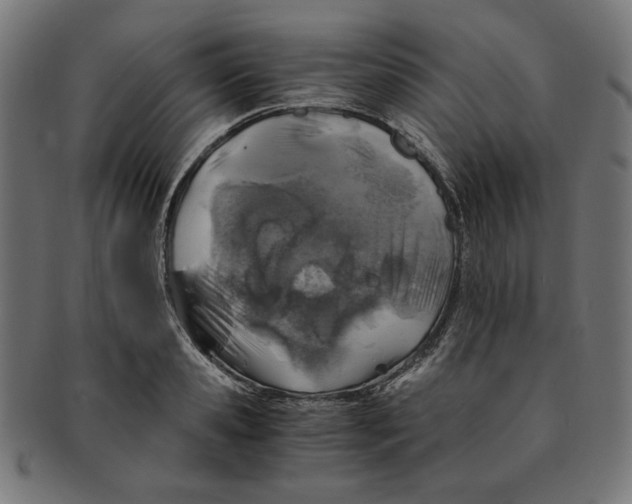 X0000091200941200709061411