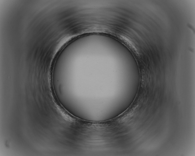X0000091200942200709061411