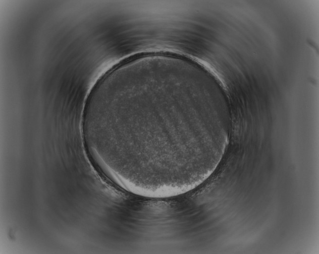 X0000091200943200709061411