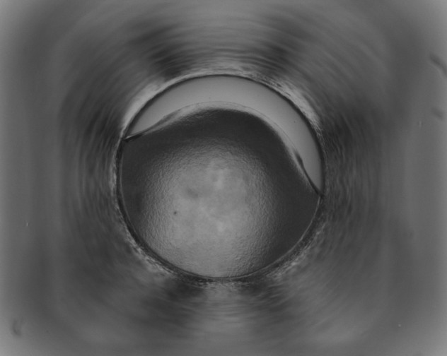 X0000091200944200709061411