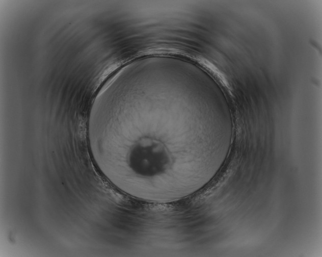 X0000091200945200709061411