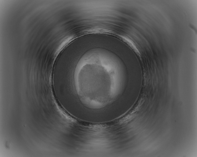 X0000091200946200709061411