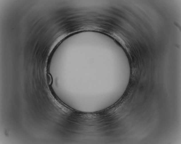 X0000091200947200709061411