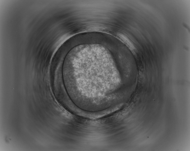X0000091200948200709061411