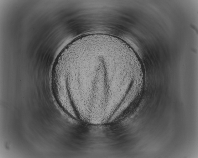 X0000091200949200709061411
