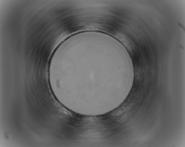 X0000091200950200709061411
