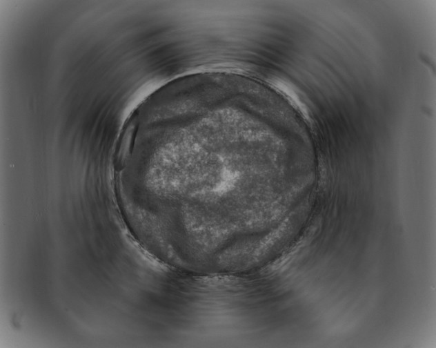 X0000091200952200709061411
