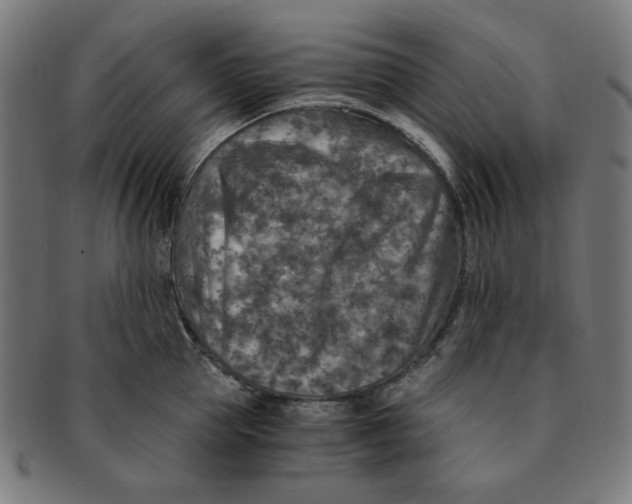 X0000091200953200709061411
