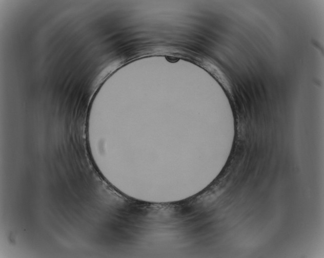 X0000091200954200709061411