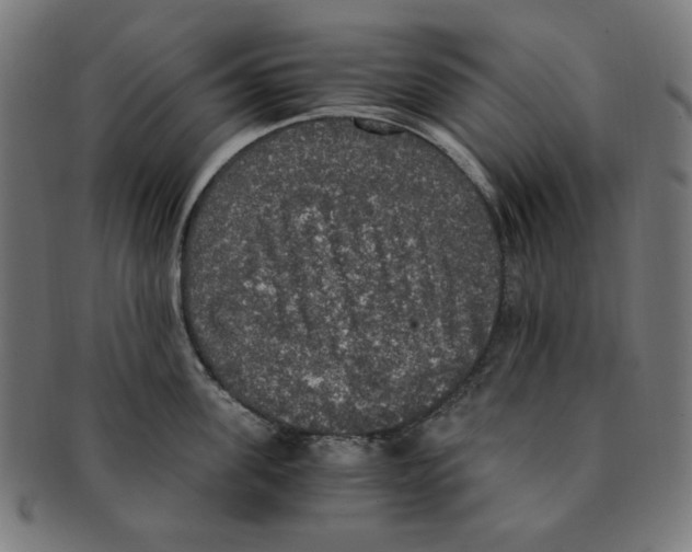 X0000091200955200709061411